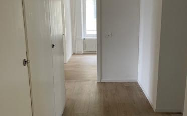 Appartement 4.5 pièces - image - 4