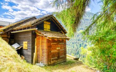 Chalet 3.5 rooms - image - 10