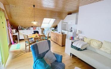 Villa 8.5 Zimmer - image - 8