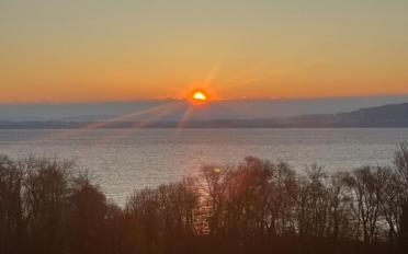 Maison jumelée 5.5 pièces - image - 6