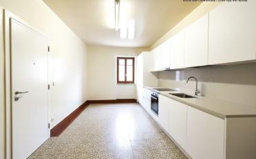 Wohnung ein Zimmer - image - 2