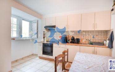 Wohnung 2.5 Zimmer - image - 1
