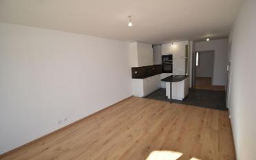 Wohnung 2.5 Zimmer - image - 2