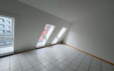 Appartement 4.5 pièces - image - 2