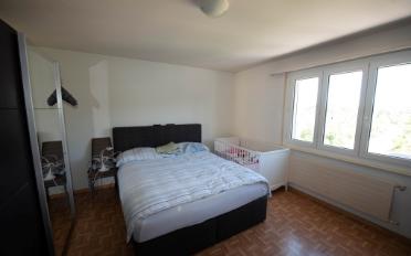 Wohnung 2 Zimmer - image - 1