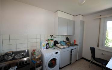 Wohnung 2 Zimmer - image - 3