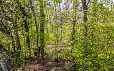 Maison 11.5 pièces - image - 4