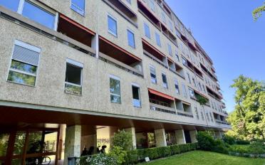 Wohnung 5 Zimmer - image - 11