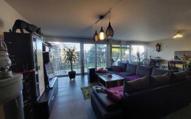 Einfamilienhaus - image - 5