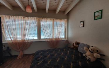 Einfamilienhaus - image - 10