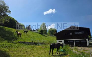 Terrain à bâtir - image - 1