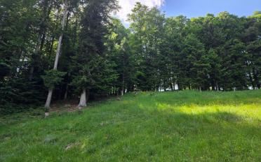 Terrain à bâtir - image - 2