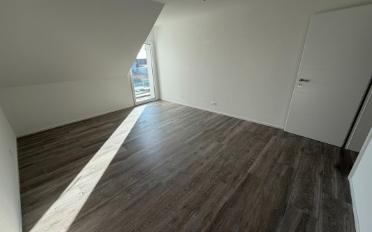 Einfamilienhaus 6.5 Zimmer - image - 8
