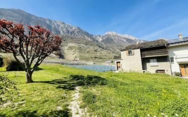 Villa 5.5 pièces - image - 3