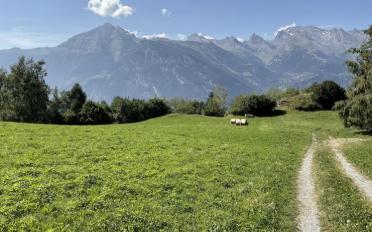 Chalet 4.5 pièces - image - 10