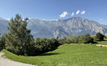 Chalet 4.5 rooms - image - 2
