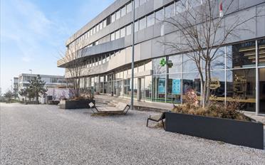 Office - image - 1