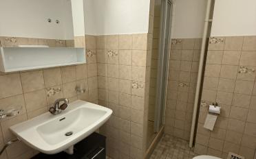 Appartement 3.5 pièces - image - 13