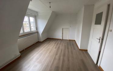 Einfamilienhaus 13 Zimmer - image - 11