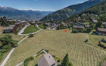 Bauland - image - 5