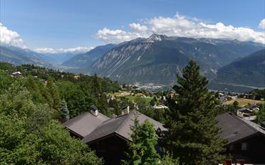 Chalet 9.5 rooms - image - 12