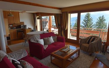 Apartment - image - 1