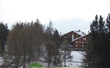 Appartement - image - 5