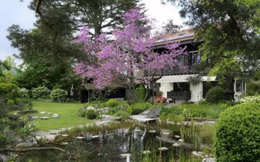 Villa 9 Zimmer - image - 2