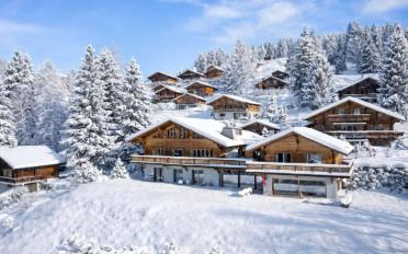 Chalet 10 Zimmer - image - 2