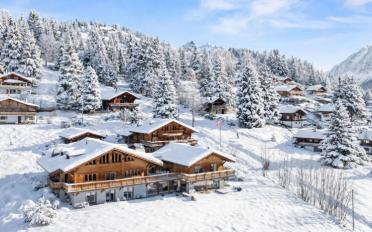 Chalet 10 Zimmer - image - 1