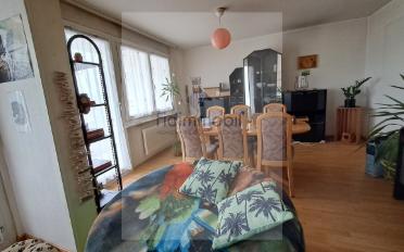 Wohnung 2.5 Zimmer - image - 1