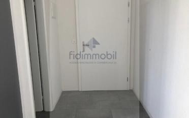Wohnung 2.5 Zimmer - image - 6