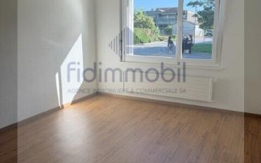 Wohnung 3 Zimmer - image - 1