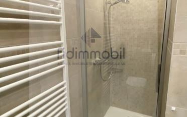 Wohnung 4.5 Zimmer - image - 9