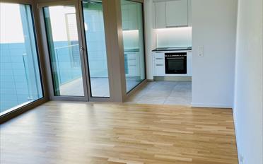 Studio 1 room - image - 1