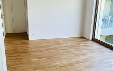 Studio 1 room - image - 2
