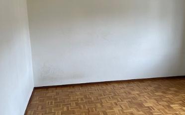 Studio 1 room - image - 5