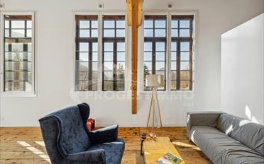 Büro 5 Zimmer - image - 2