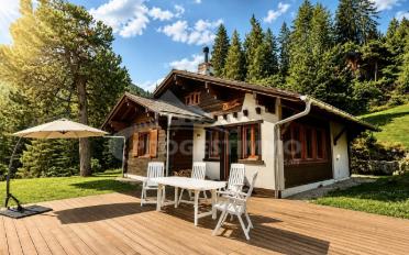 Chalet 5.5 rooms - image - 1