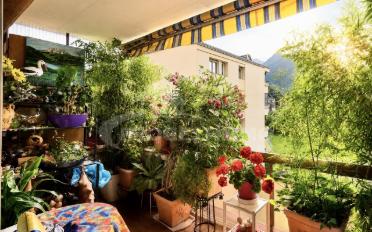 Wohnung 3.5 Zimmer - image - 8