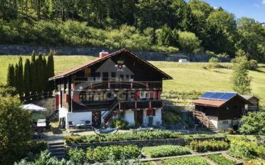 Chalet 4.5 Zimmer - image - 1