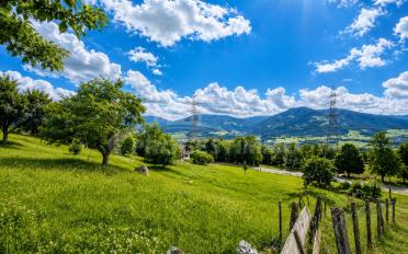 Bauland - image - 4
