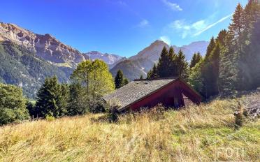 Chalet 7.5 pièces - image - 1