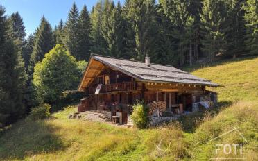 Chalet 7.5 rooms - image - 7