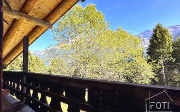 Chalet 7.5 rooms - image - 8