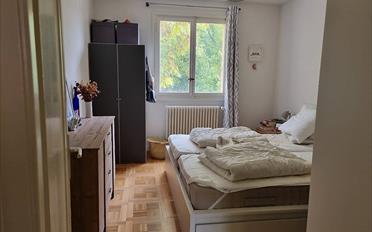 Wohnung 4 Zimmer - image - 3
