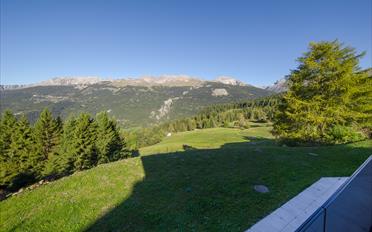 Chalet 6 Zimmer - image - 16