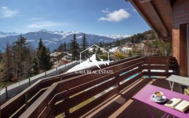 Chalet 9 rooms - image - 17