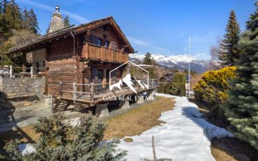 Chalet 4 rooms - image - 22