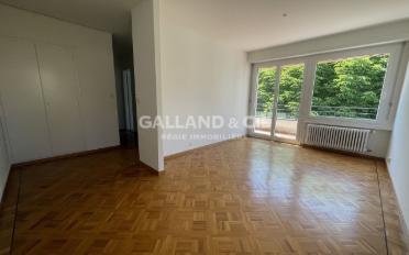Wohnung 1.5 Zimmer - image - 5
